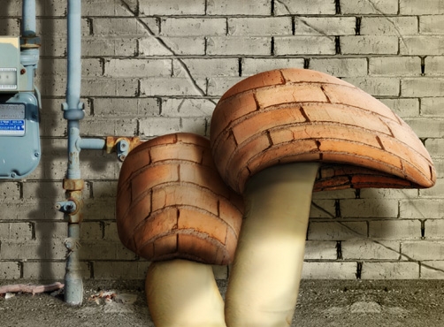 Creation of Urban Mushrooms: Step 7